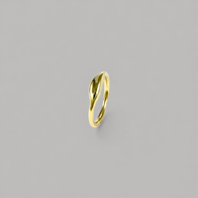 Anillo en oro AM2G de la colección Martina sobre fondo liso con sombra